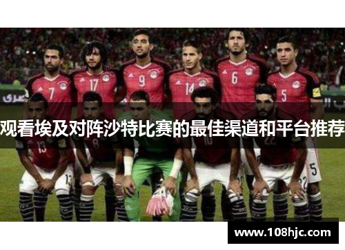 观看埃及对阵沙特比赛的最佳渠道和平台推荐
